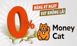 Vay tiền MoneyCat 10 tronline chỉ cần CMND